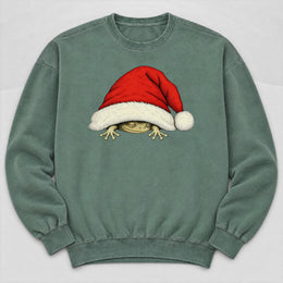 Frog's Santa Hat Sweatshirt